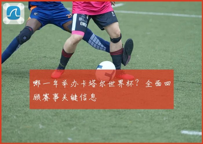 哪一年举办卡塔尔世界杯？全面回顾赛事关键信息