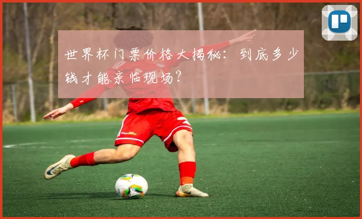 世界杯门票价格大揭秘：到底多少钱才能亲临现场？