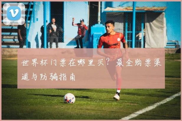 世界杯门票在哪里买？最全购票渠道与防骗指南