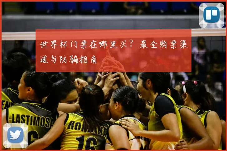 世界杯门票在哪里买？最全购票渠道与防骗指南