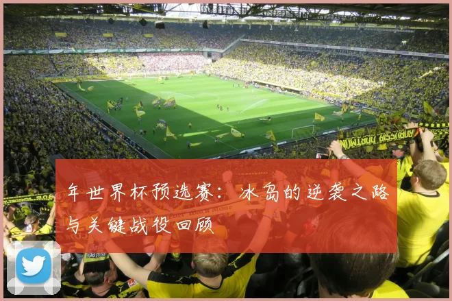 年世界杯预选赛：冰岛的逆袭之路与关键战役回顾