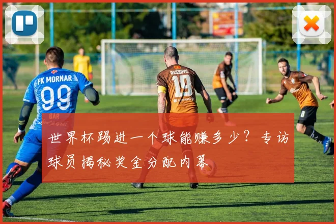 世界杯踢进一个球能赚多少？专访球员揭秘奖金分配内幕